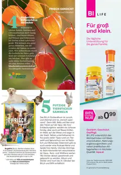 Billa AT Frisch Gekocht Magazin - amely érvényes a következő dátumtól: 2026.10.01. | Oldal: 15 | Termékek: Bella, Multivitamin, Kinder, Só