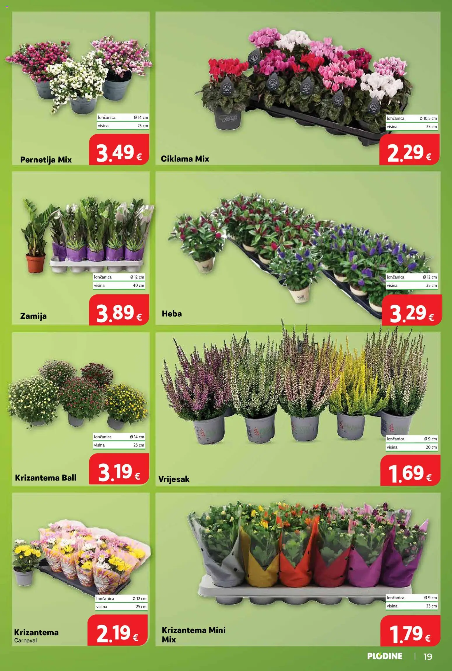 Plodine katalog | vrijedi od 10.09.2026 | Stranica: 19 | Proizvodi: Vrijesak, Loncanica