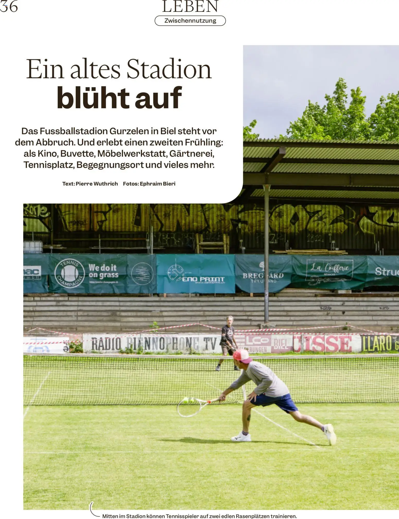 Migros aktionen Magazin – gültig ab 19.08.2026 | Seite: 36
