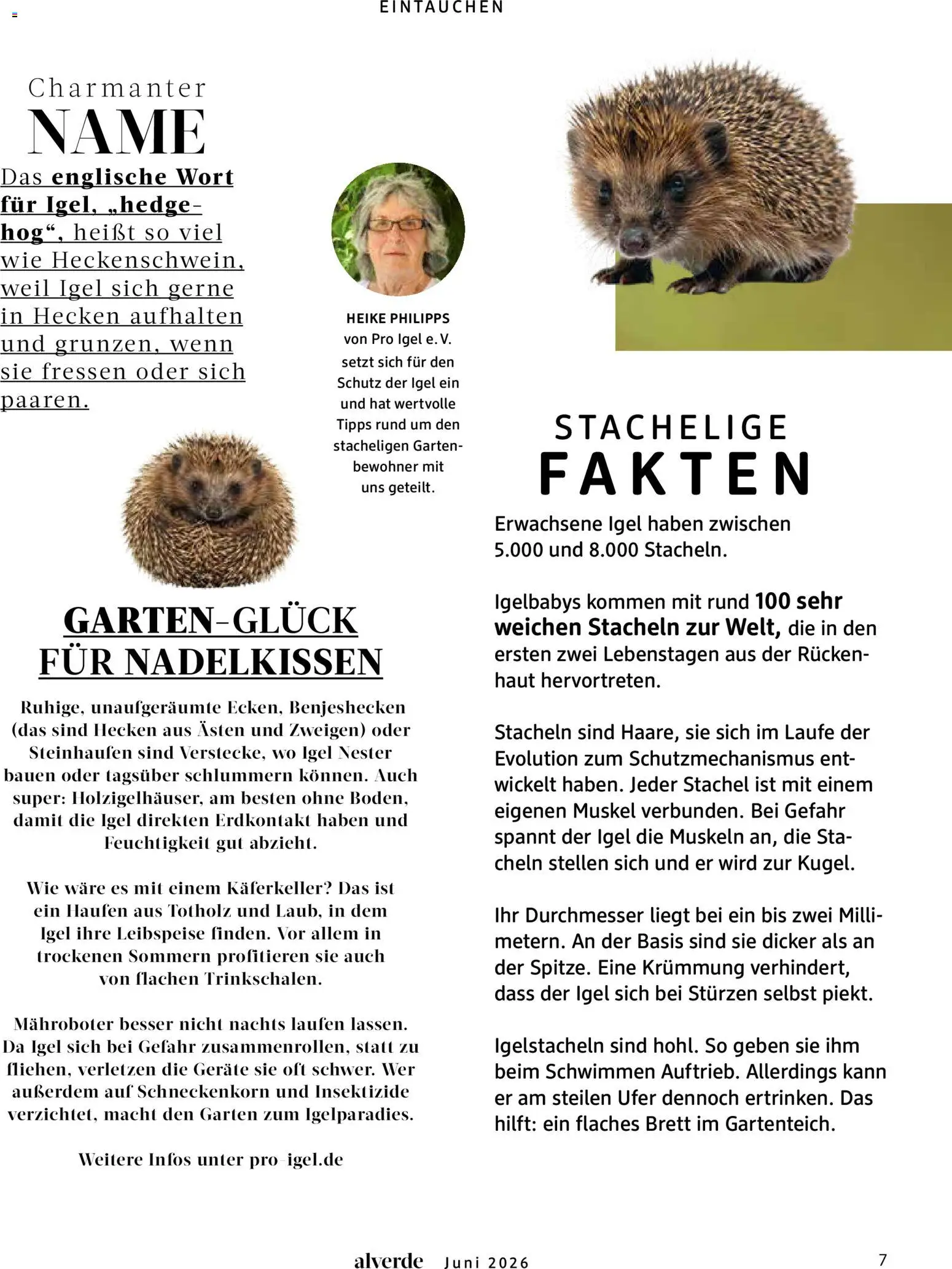 dm drogerie Prospekt – gültig ab 01.06.2026 | Seite: 7
