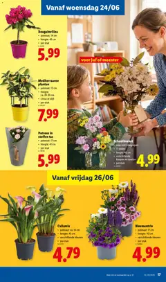 Lidl Folder week 26 - Voorbeeld van een folder van Lidl, geldig van 22.06.2026 | Pagina: 17 | Producten: Tas, Vaas