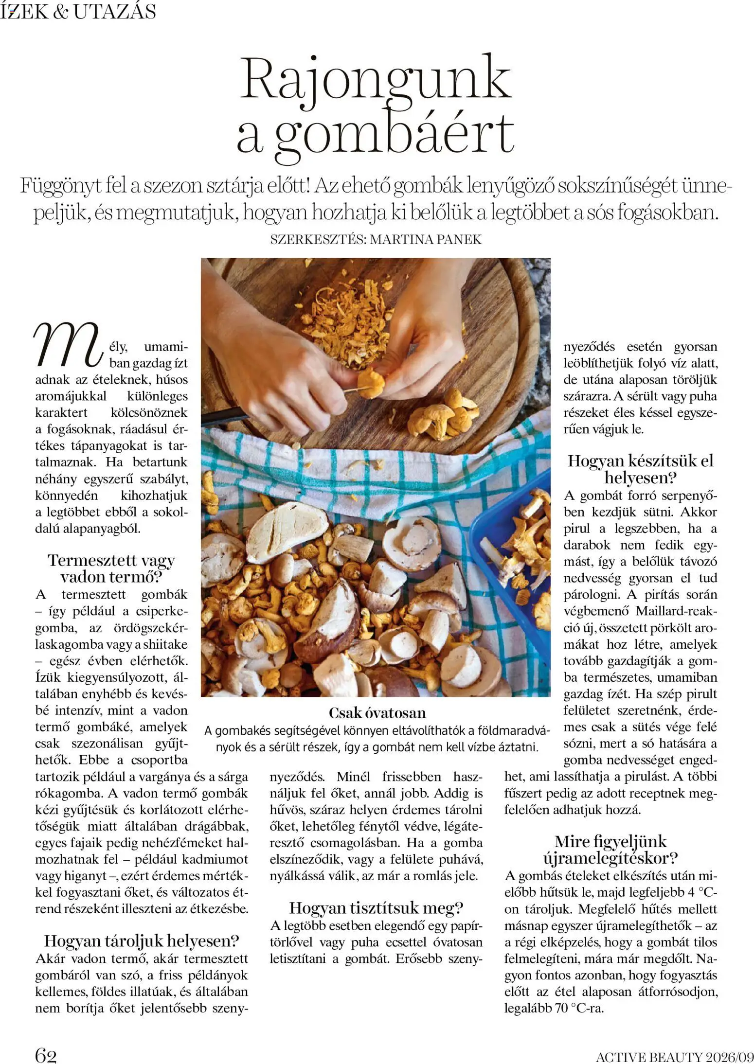 DM Drogerie Markt akciós ujság - amely érvényes a következő dátumtól: 2026.09.17. | Oldal: 62 | Termékek: Laskagomba, Víz, Pörkölt, Só