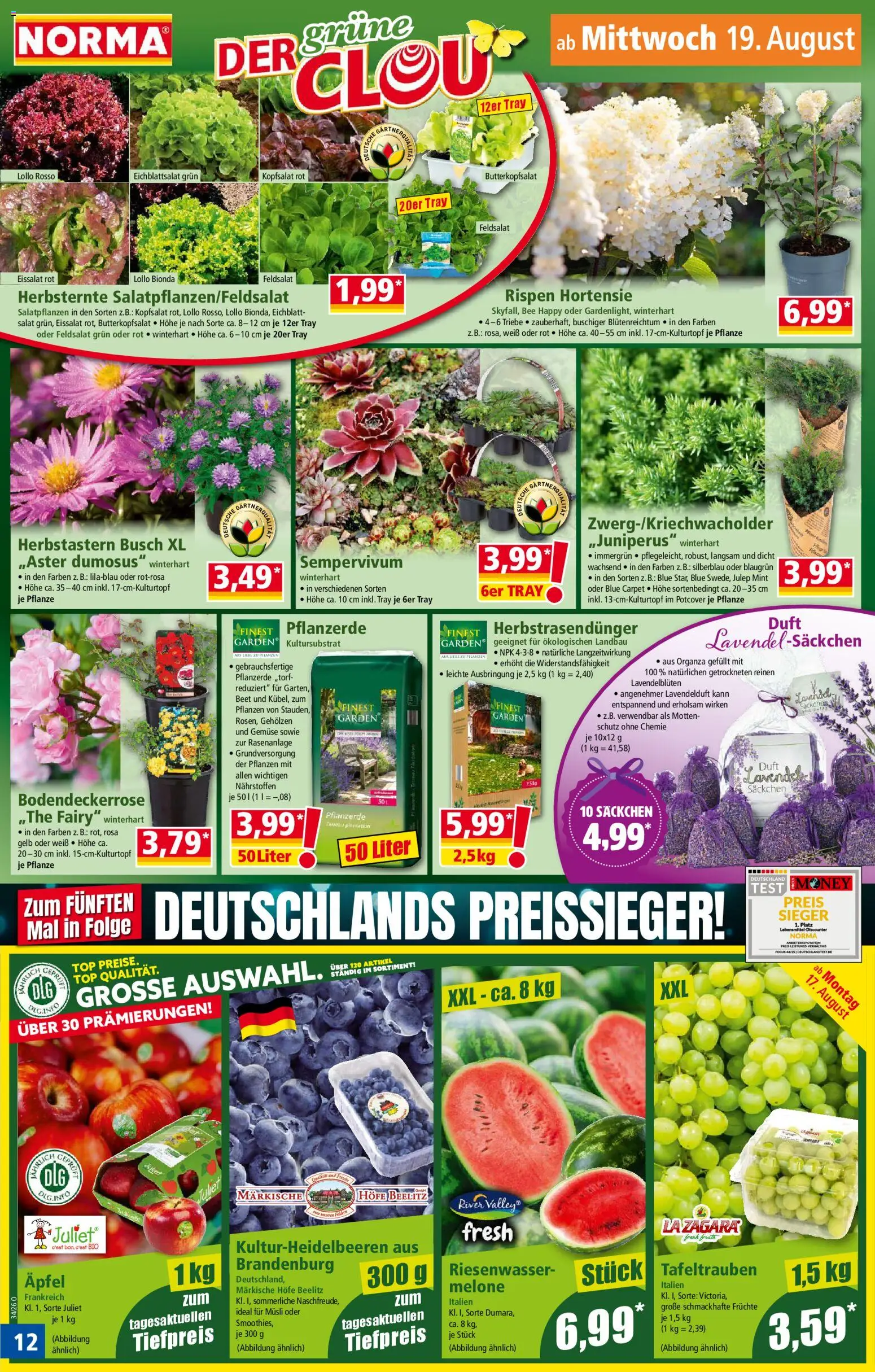 Norma Prospekt – gültig ab 17.08.2026 | Seite: 12 | Produkte: Pflanzerde, Gemüse, Lavendel, Salat