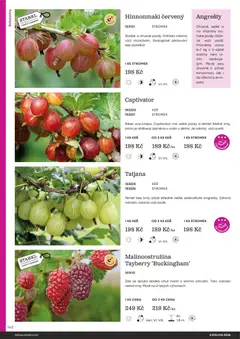 Náhled letáku Starkl katalog od 25.02.2026 | Strana: 142 | Produkty: Vitamíny, Rostliny