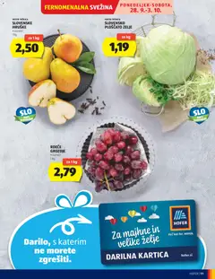 Hofer katalog akcije – veljaven od 23.09.2026 | Stran: 11