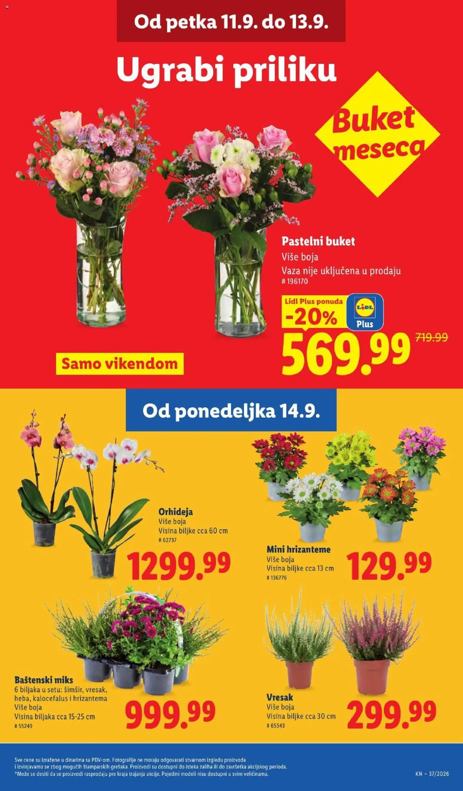 Lidl katalog - važi od 10.09.2026 | Strana: 65