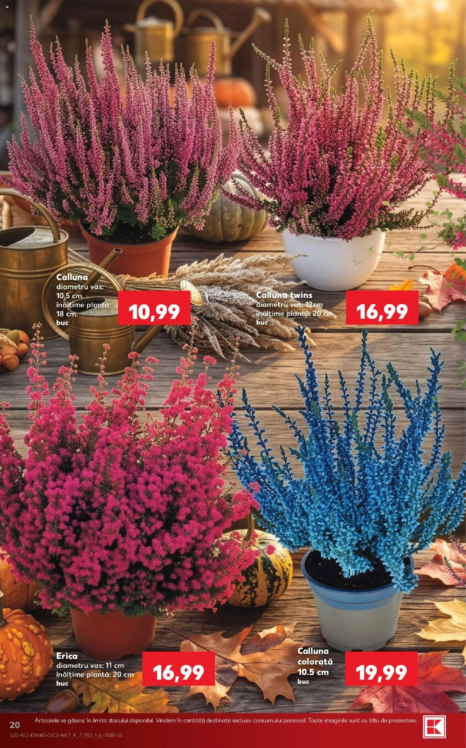 Kaufland RO akciós ujság - amely érvényes a következő dátumtól: 2026.09.30. | Oldal: 20 | Termékek: Vas