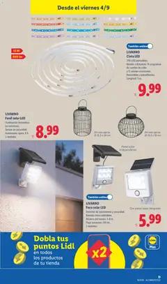 Vista previa Lidl folleto de bazar válido desde el 31/08/2026 | Página: 17 | Productos: Farol, Iluminación