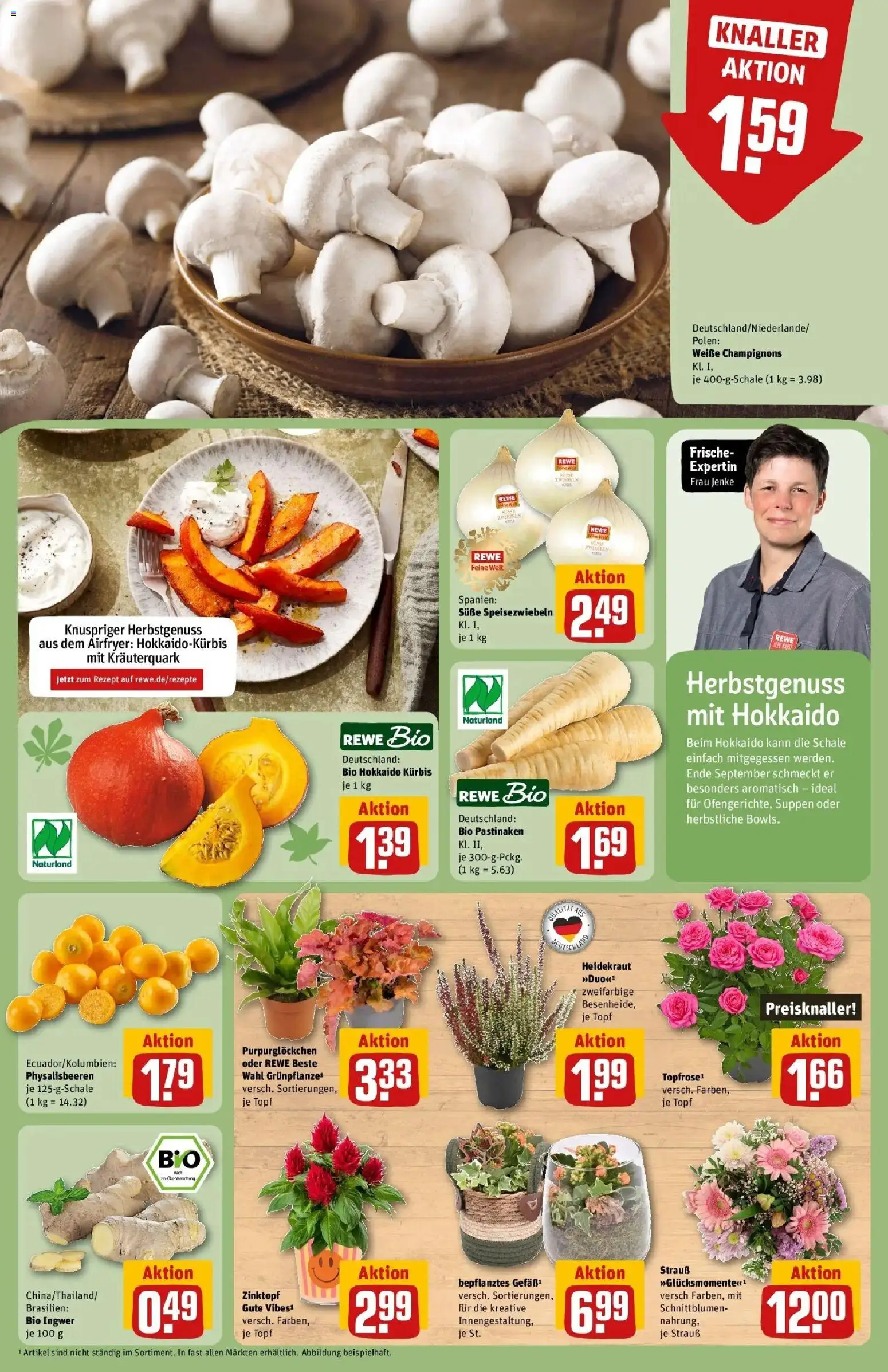 REWE Prospekt ab 28.09.2026 zum Blättern » Angebote | Seite: 13 | Produkte: Champignons, Zwiebeln, Kürbis