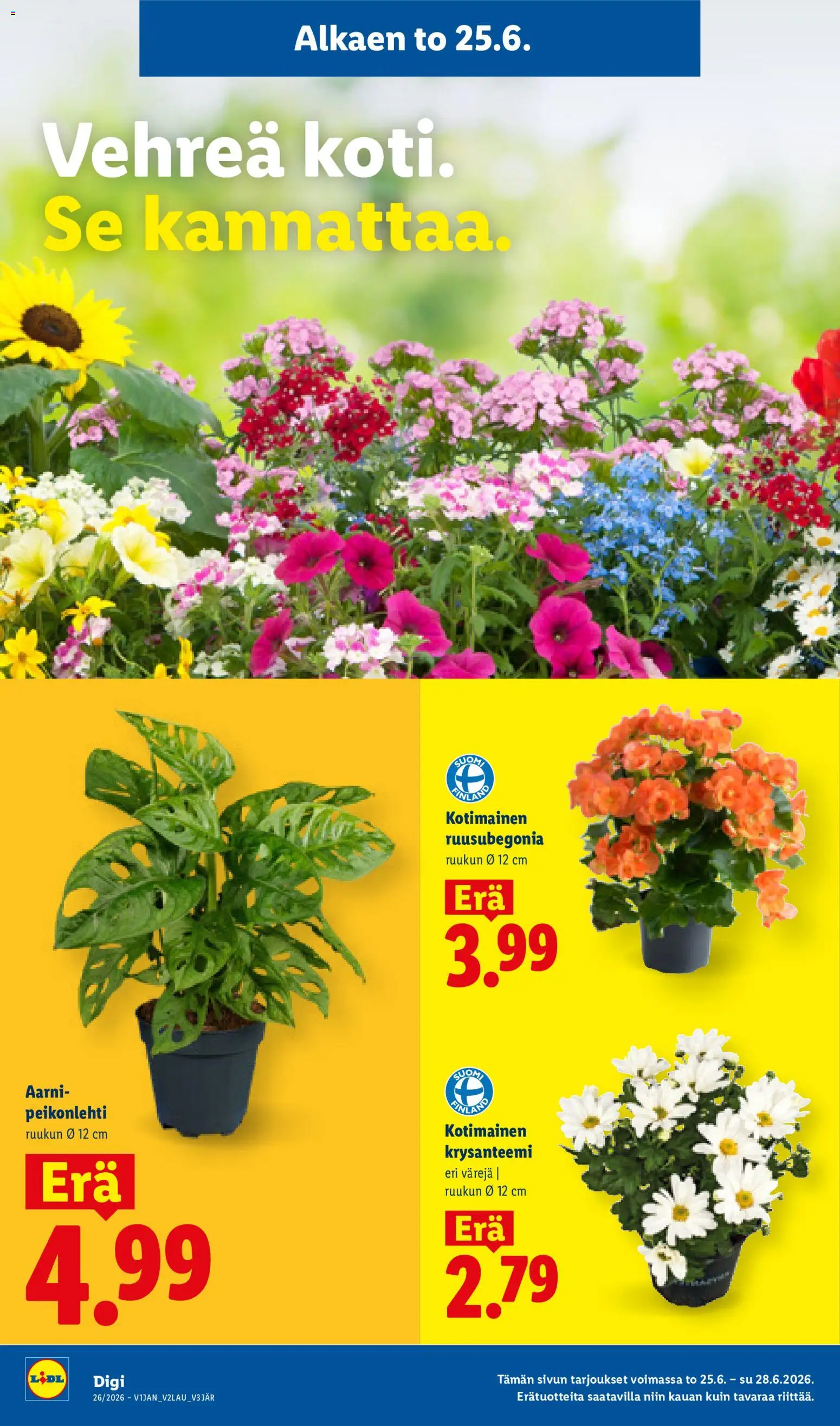 Lidl tarjoukset - Vihti – voimassa 25/06/2026 alkaen | Sivu: 15