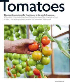 Preview of Waitrose Offers valid from 03/06/2026 | Page: 47
