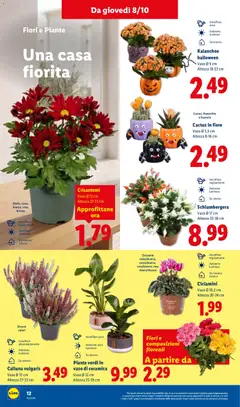 Anteprima del volantino Lidl volantino valido a partire dal 08/10/2026 | Pagina: 32