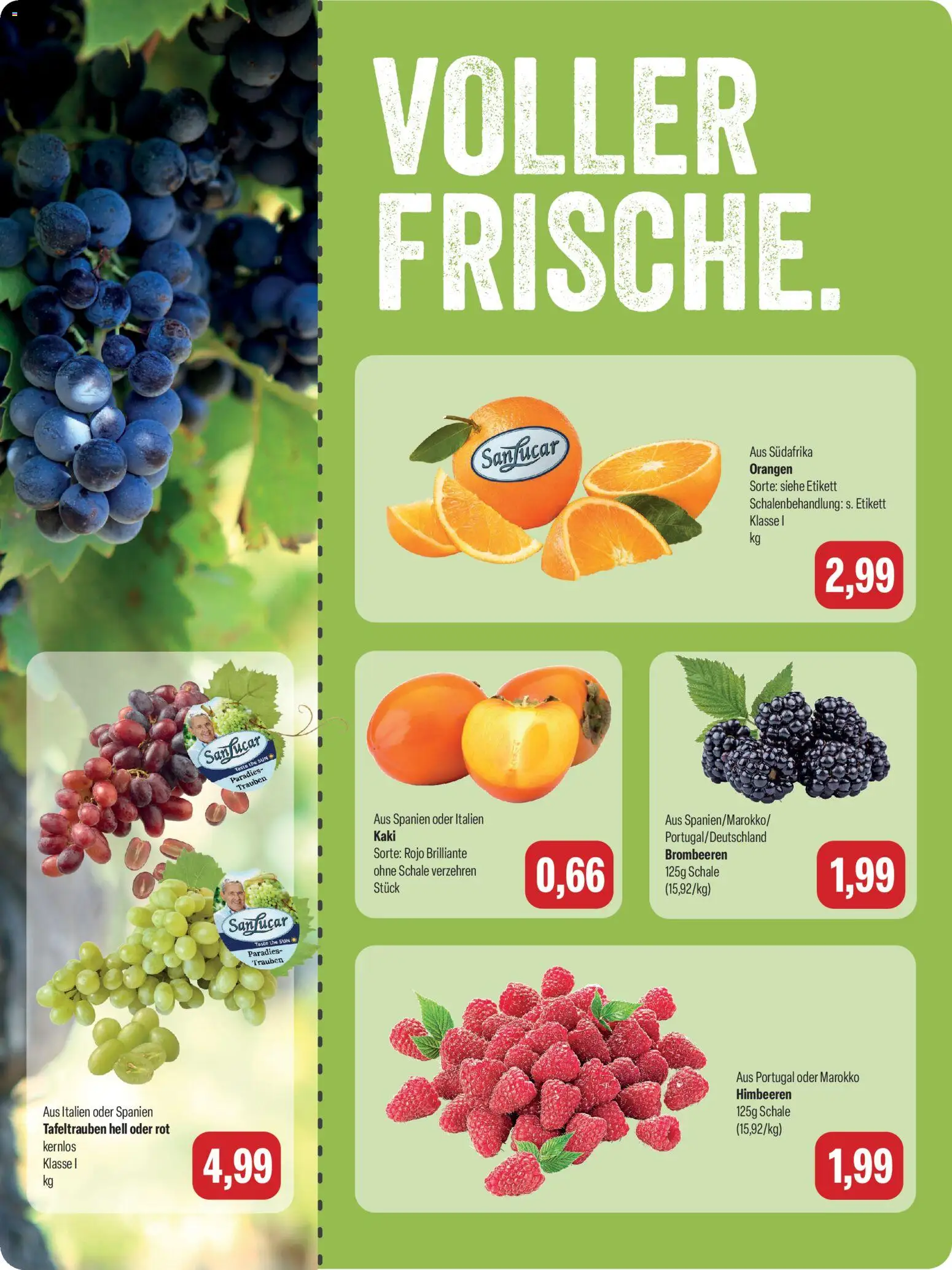 Feneberg Angebote – gültig ab 26.10.2026 | Seite: 10
