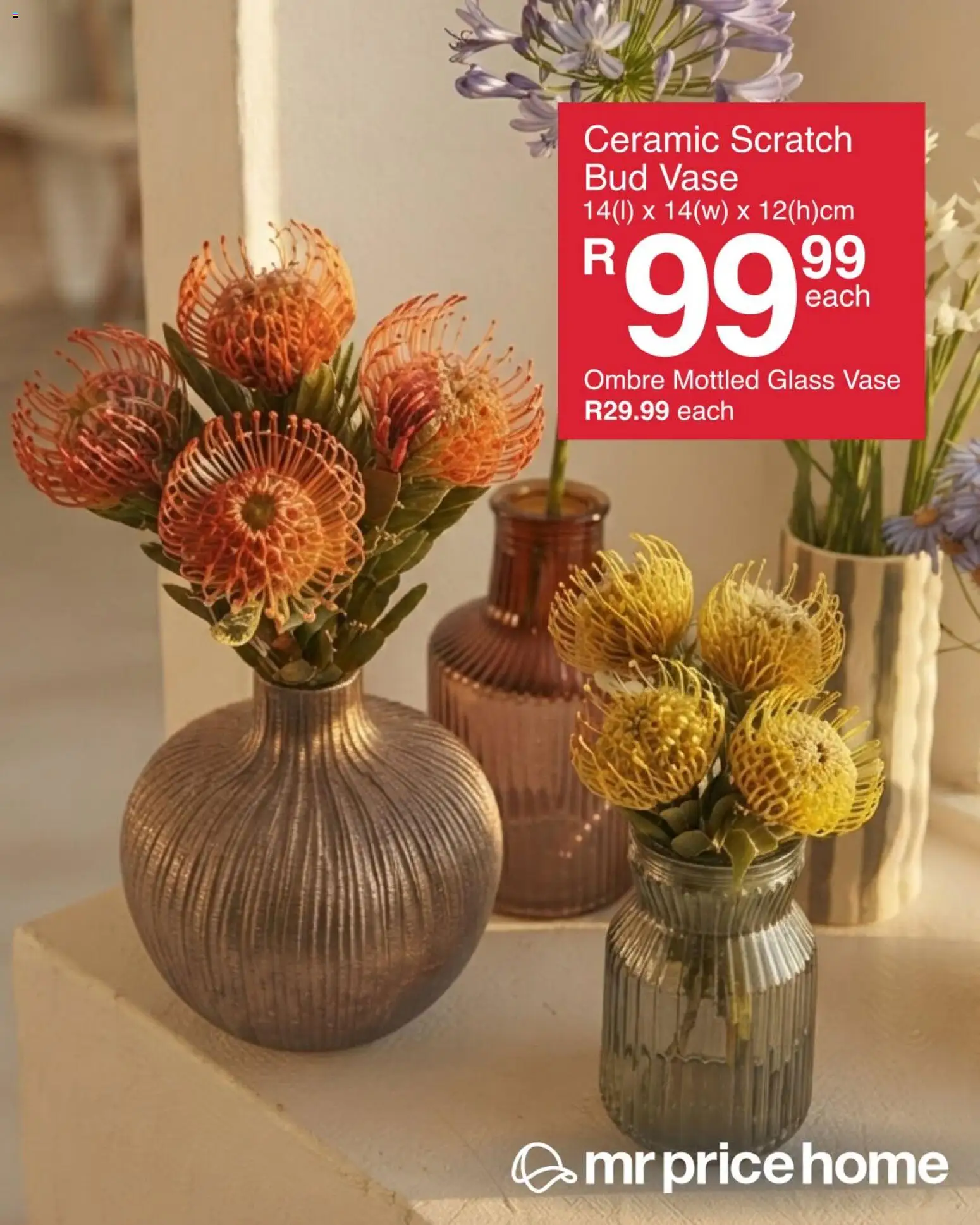 New MRP Home catalogue – valid from 07/09/2026 | Page: 1 | Products: Vase