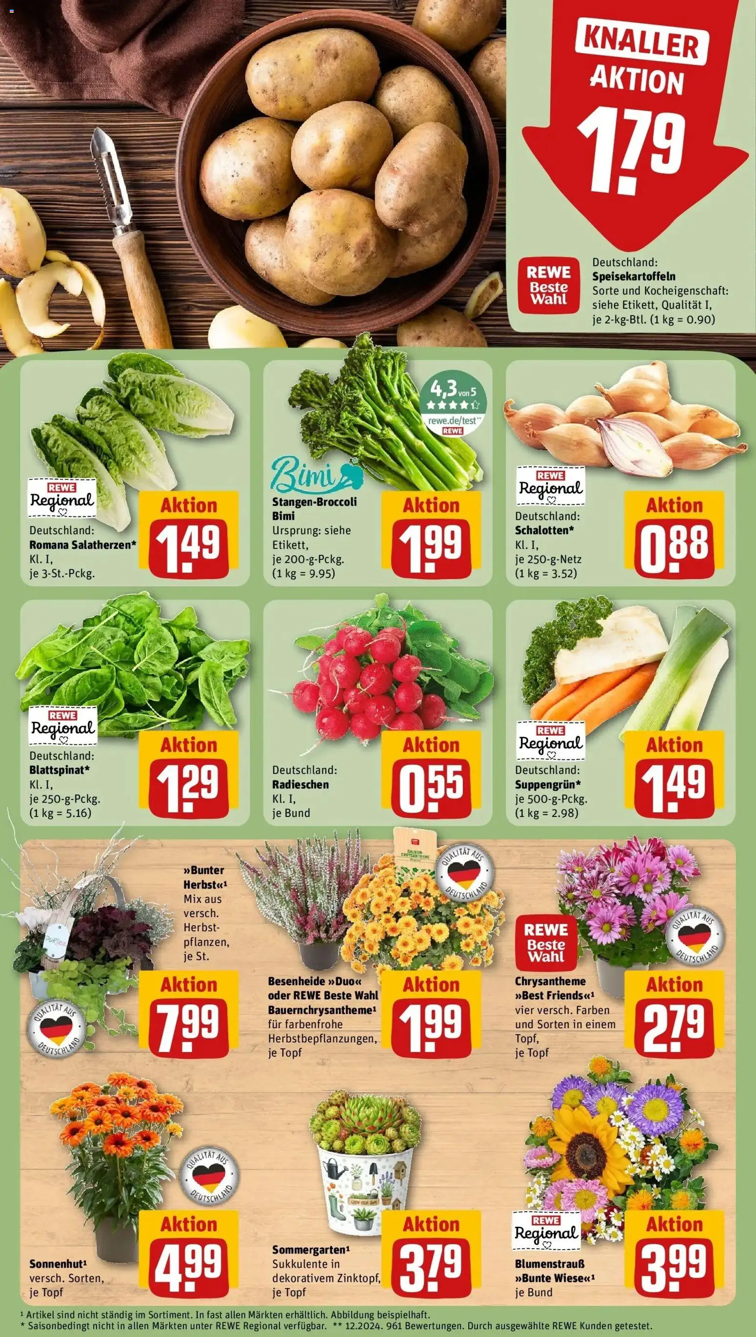 REWE Prospekt ab 07.09.2026 zum Blättern » Angebote | Seite: 7