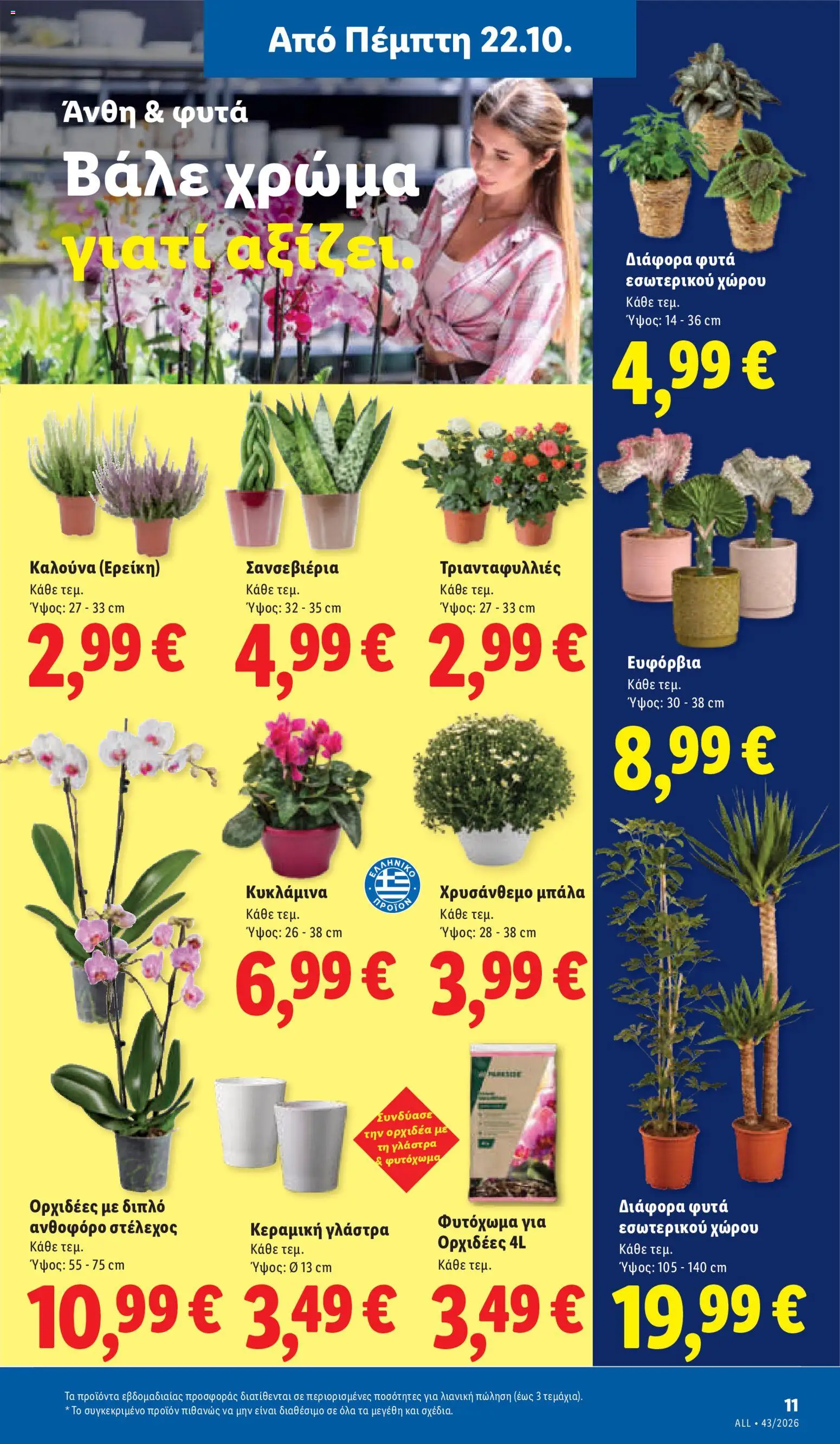 Lidl Φυλλάδιο - σε ισχύ από 22/10/2026 | Σελίδα: 49