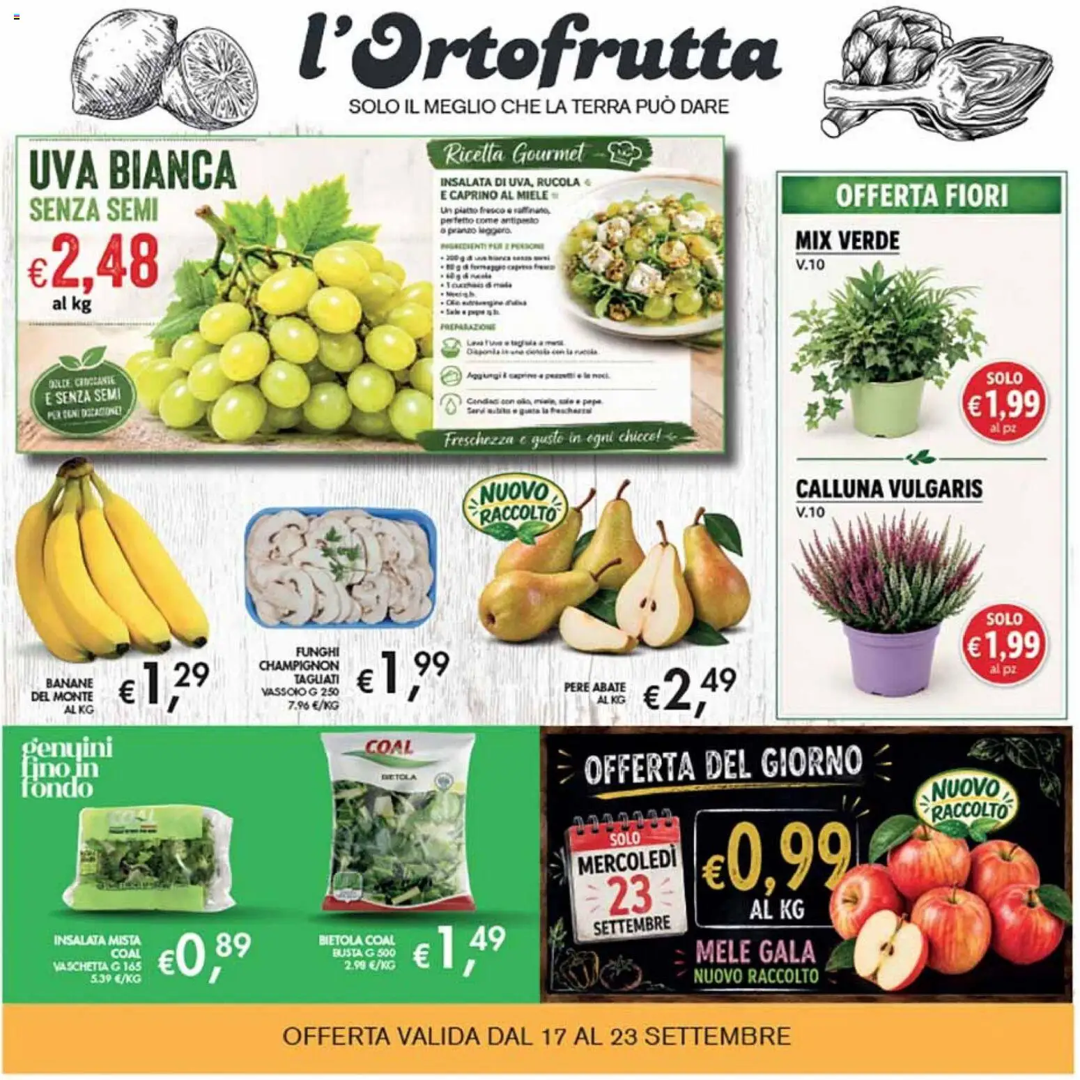 Volantino Coal del 10/09/2026 | Pagina: 7 | Prodotti: Mele, Banane, Rucola, Insalata