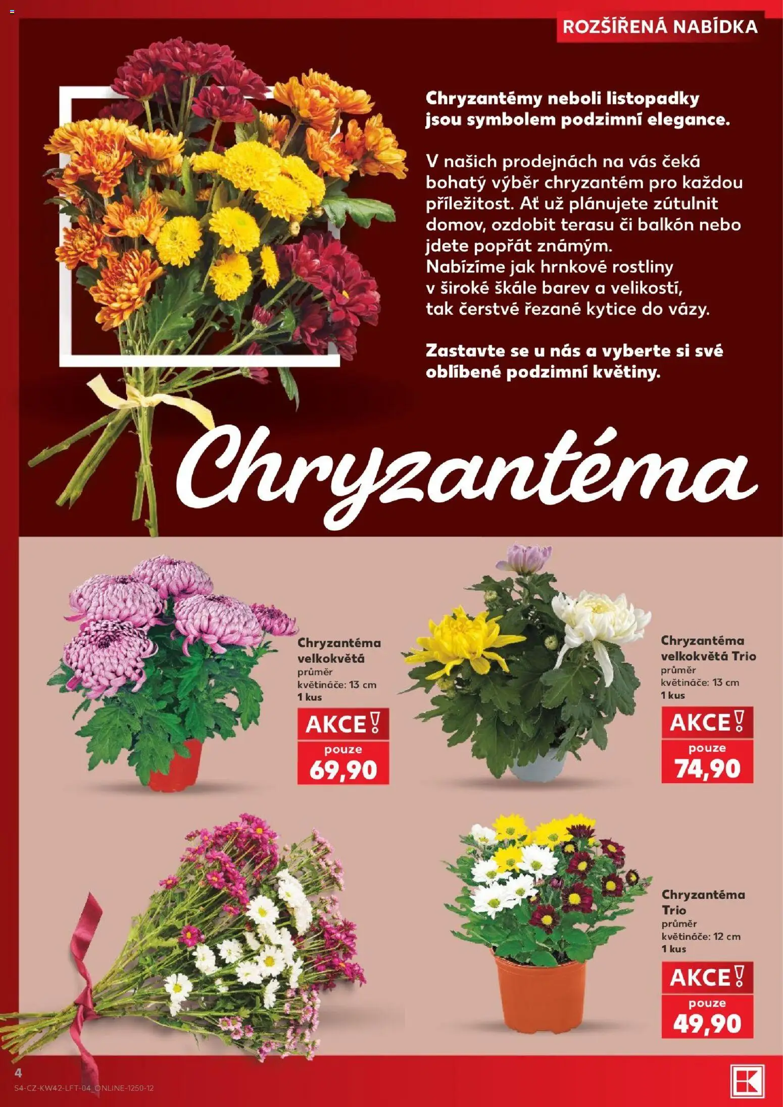 Kaufland leták - Ostrava od 14.10.2026 | Strana: 4 | Produkty: Květináče, Rostliny, Kytice