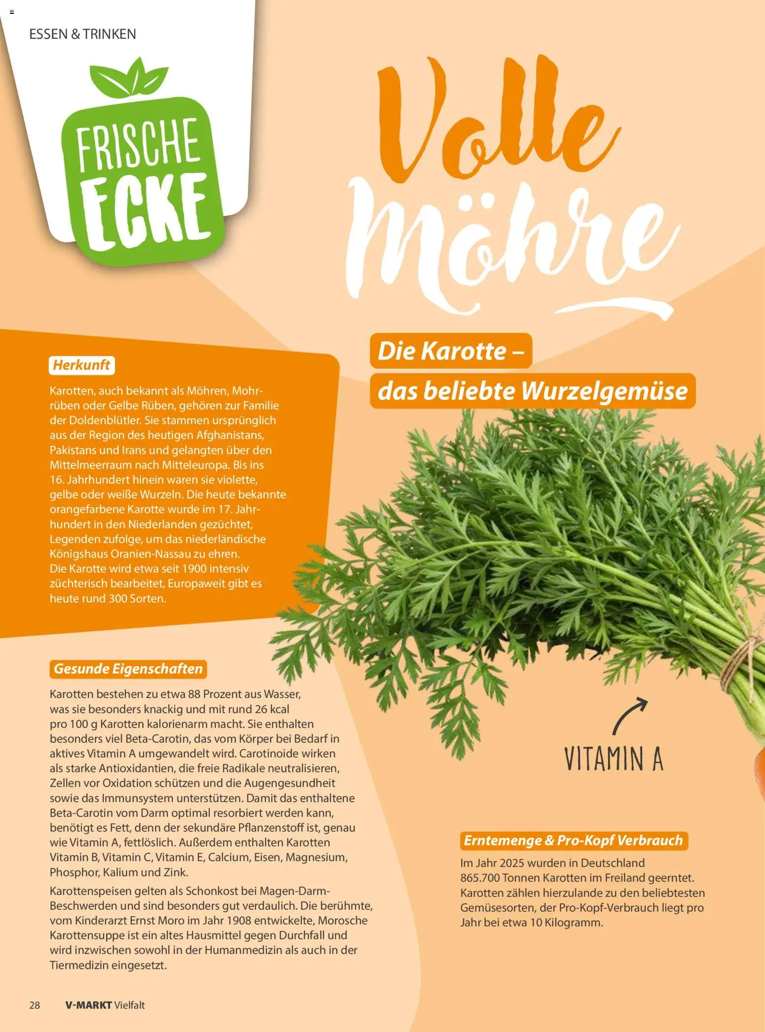 V-Markt Vielfalt Mai / Juni – gültig ab 01.05.2026 | Seite: 28 | Produkte: Karotte