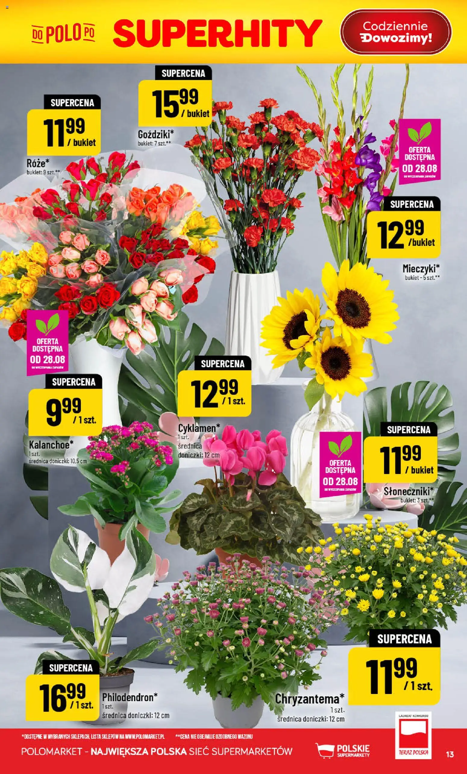 POLOmarket gazetka od 26.08.2026 | Strona: 13