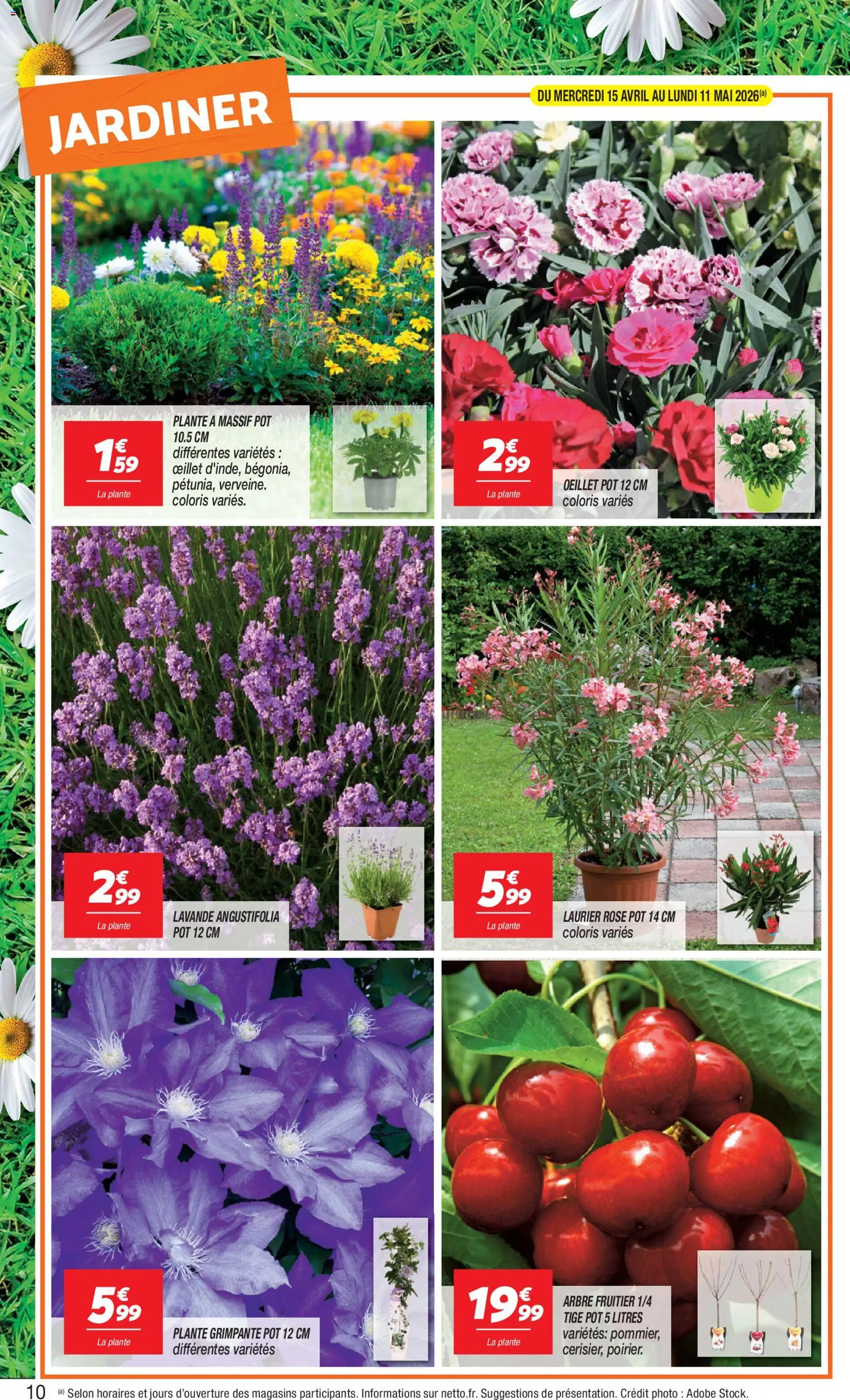 {H1} | Page: 10 | Produits: Arbre fruitier, Lavande, Laurier Rose, Sel