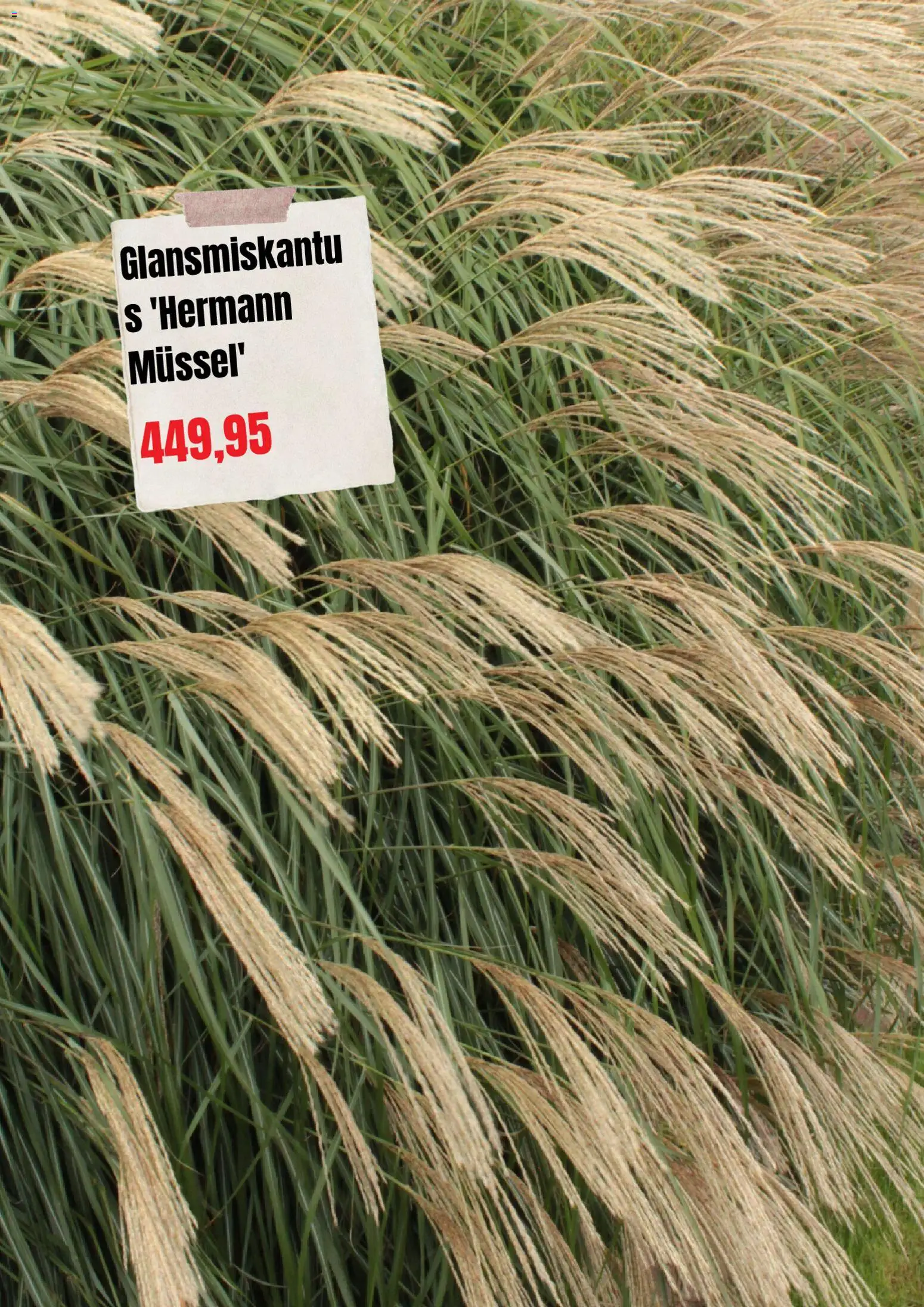 Plantagen reklamblad aktuell från 01/09/2026 | Sida: 9