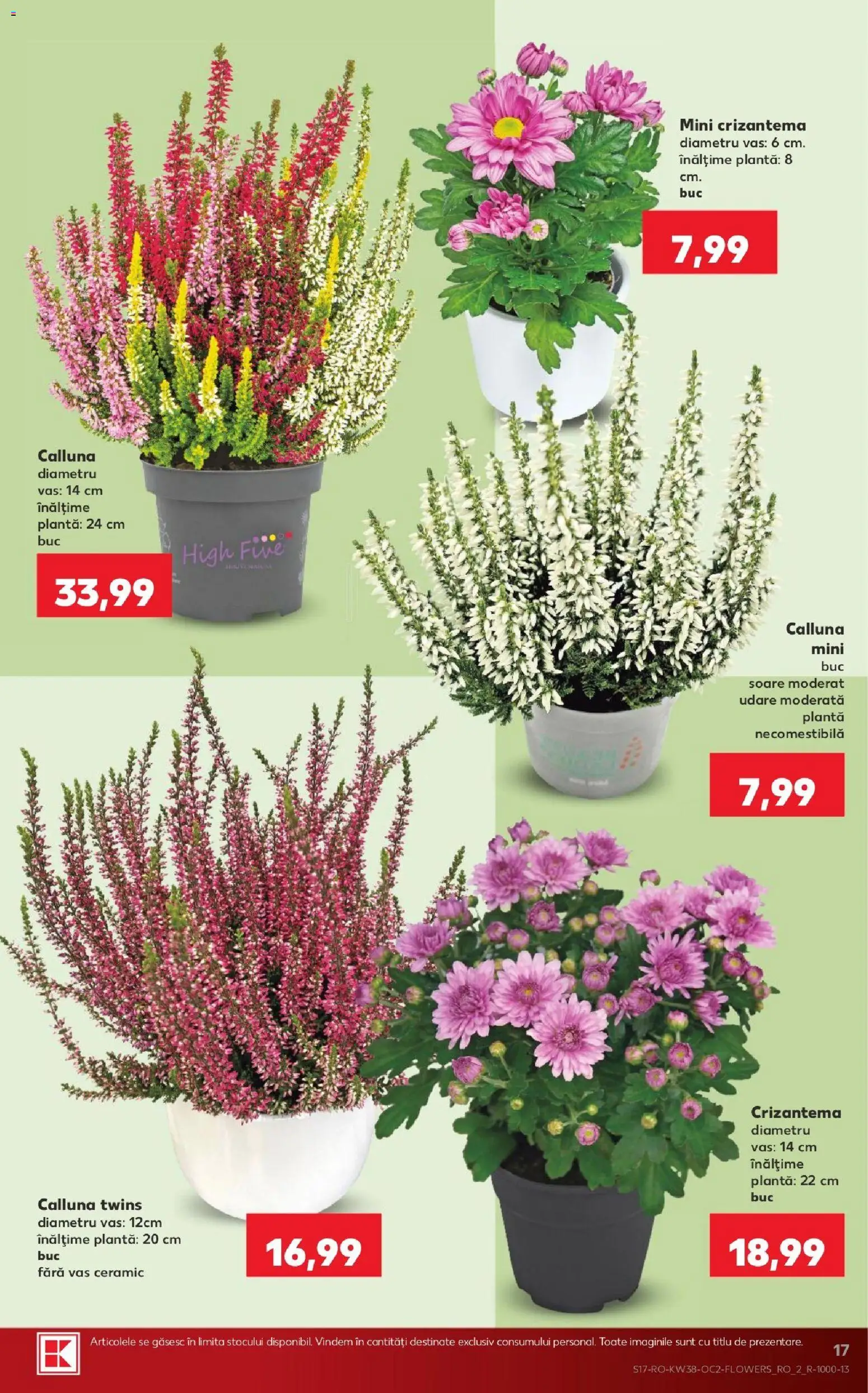 Kaufland RO akciós ujság - amely érvényes a következő dátumtól: 2026.09.16. | Oldal: 17 | Termékek: Vas