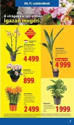 Lidl akciós újság - amely érvényes a következő dátumtól: 11.06.2026 | Oldal: 21
