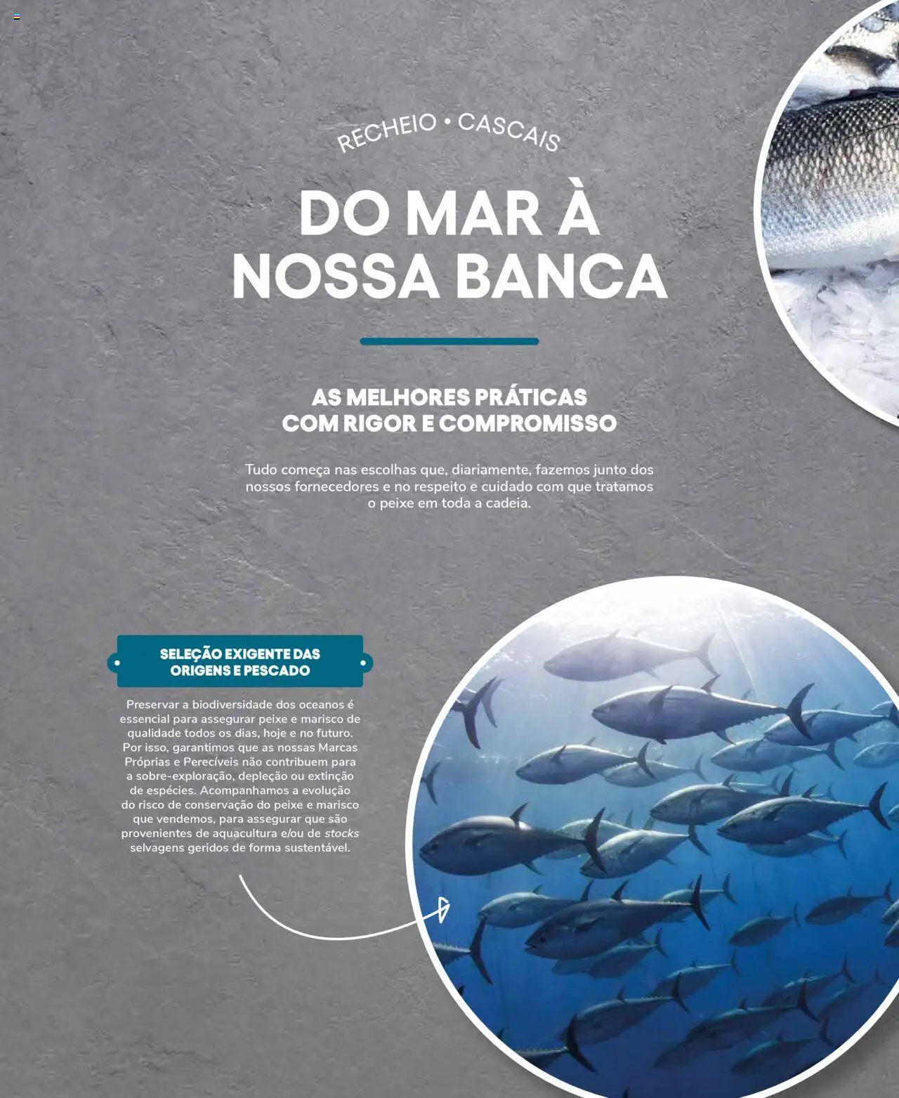 Recheio Peixaria │ válido de 19/09/2024 | Página: 4