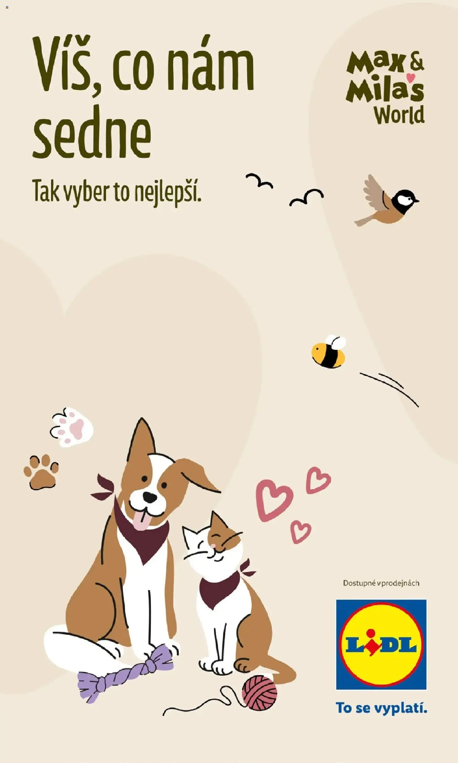 Lidl leták od 19.10.2026 - Nový akční leták | Strana: 17