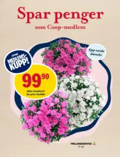 Forhåndsvisning av Coop Marked Spar penger gyldig fra 23/07/2026