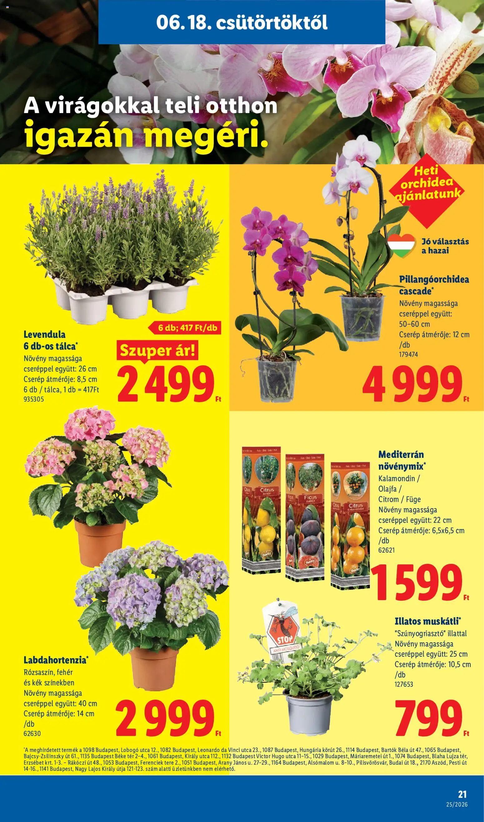 Lidl akciós ujság - amely érvényes a következő dátumtól: 18.06.2026 | Oldal: 21