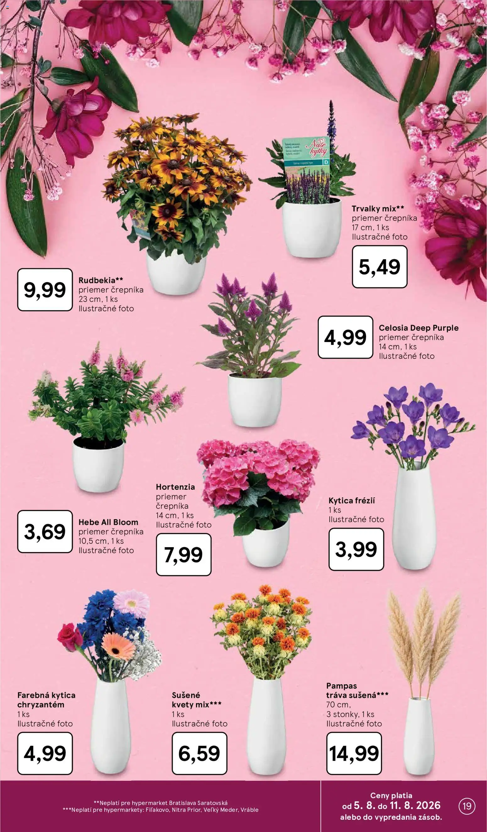 Nové Tesco akcie – leták je platný od 05.08.2026 | Strana: 19