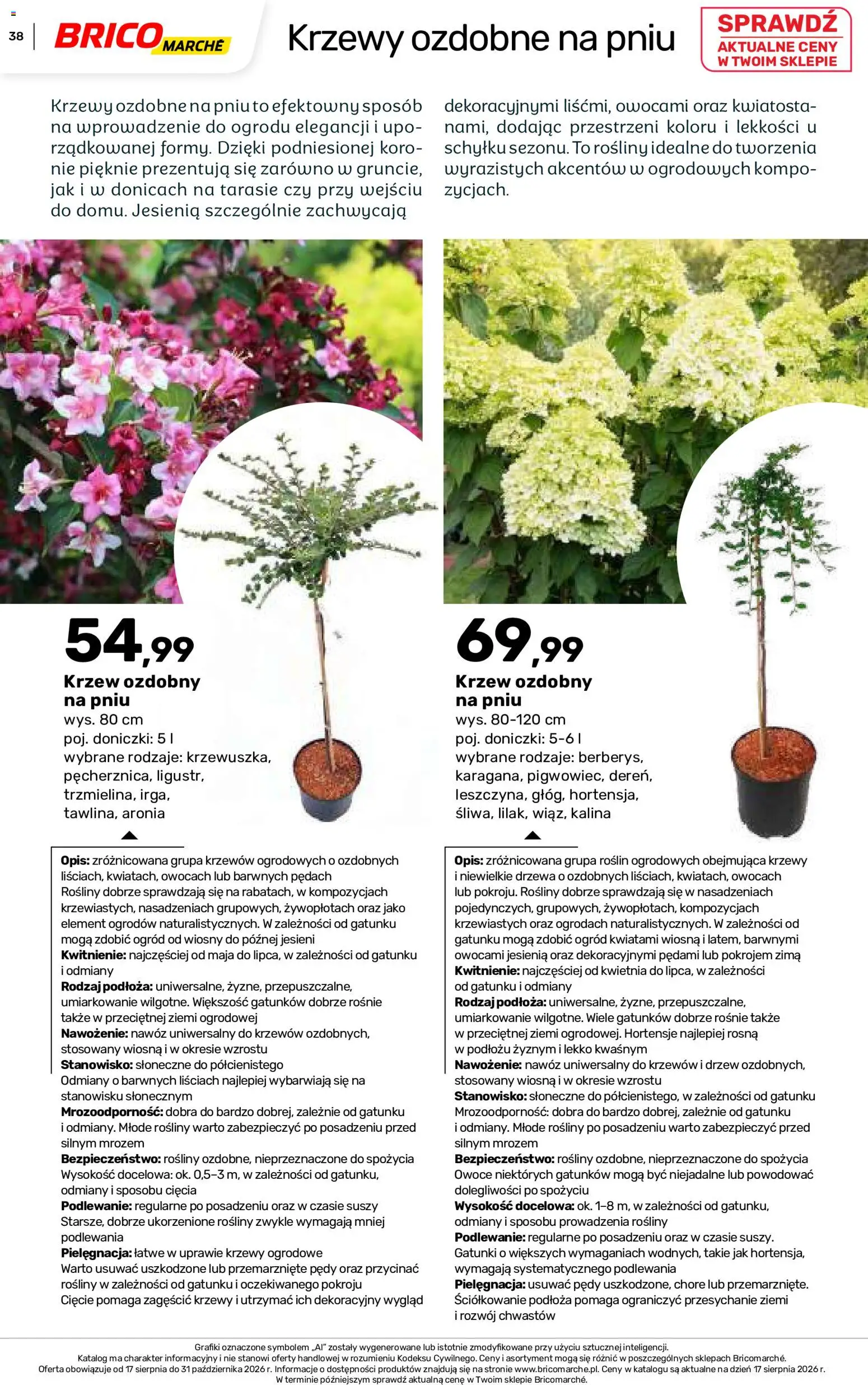 Brico Marché gazetka - Jesienne Inspiracje od 17.08.2026 | Strona: 38 | Produkty: Nawóz, Rosliny, Doniczki, Owoce