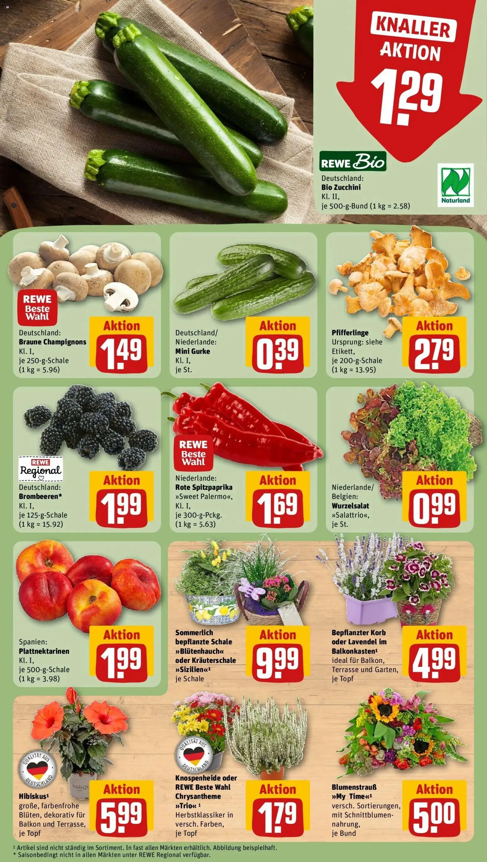 REWE Prospekt ab 17.08.2026 zum Blättern » Angebote | Seite: 9 | Produkte: Korb, Pfifferlinge, Zucchini, Lavendel