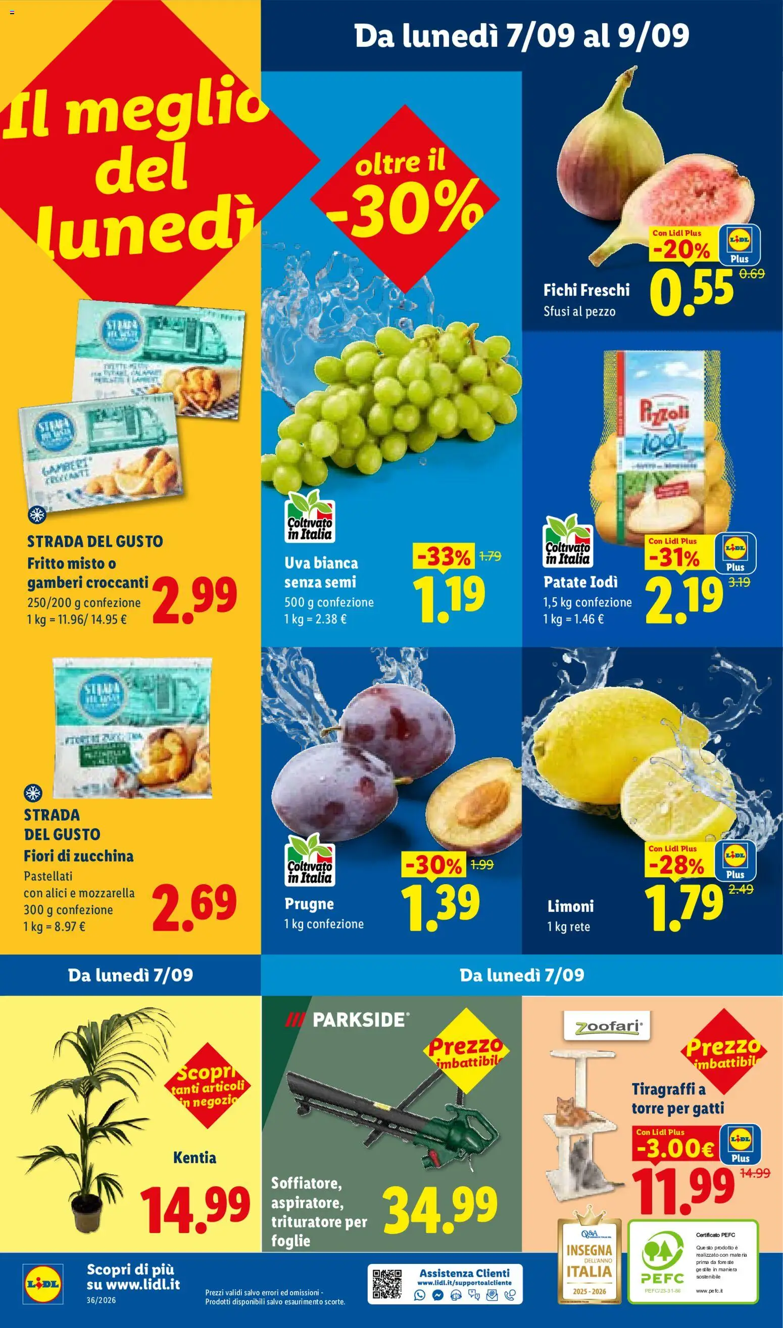 Volantino Lidl del 03/09/2026 | Pagina: 46