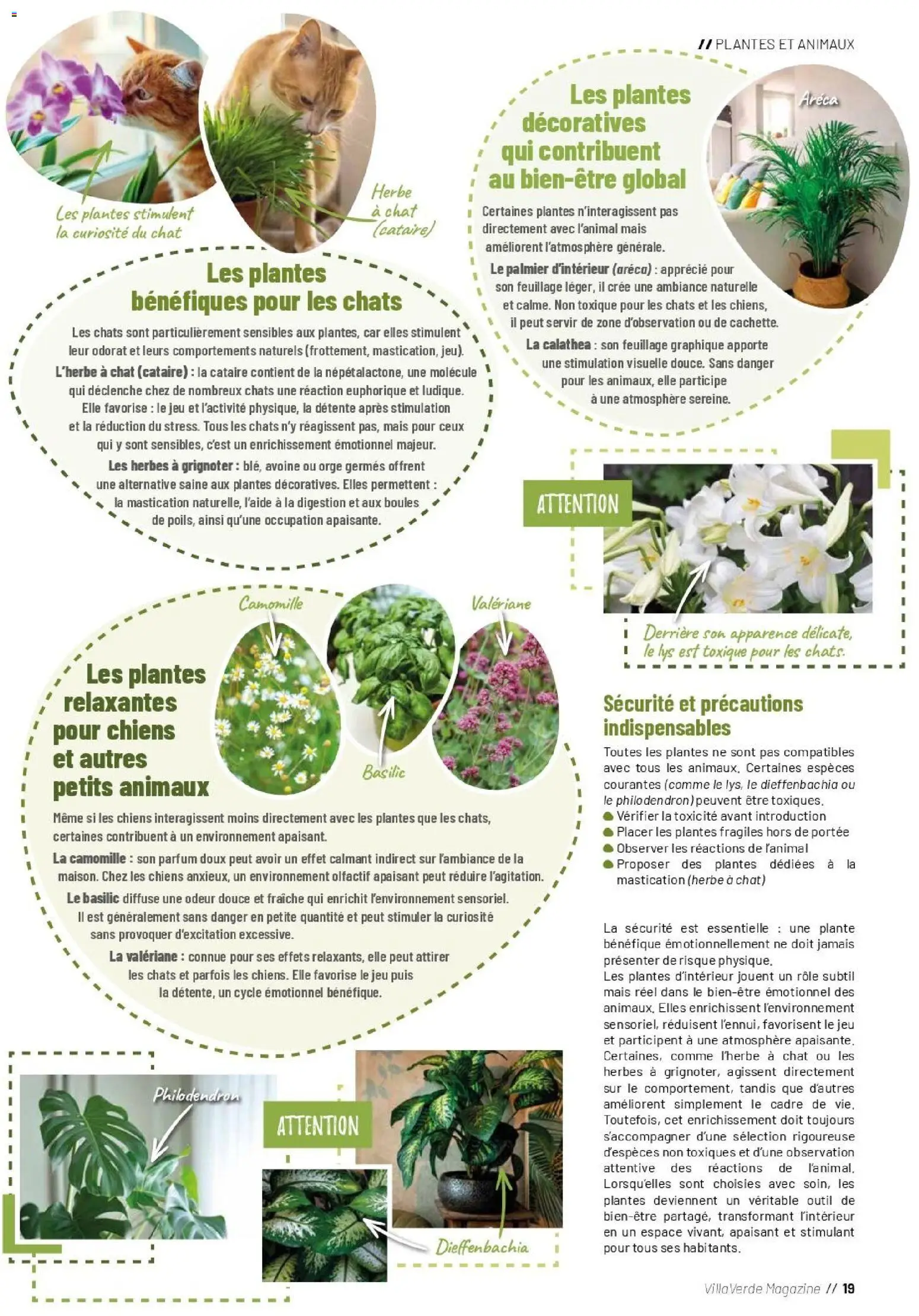 {H1} | Page: 19 | Produits: Parfum, Mais, Magazine, Cadre