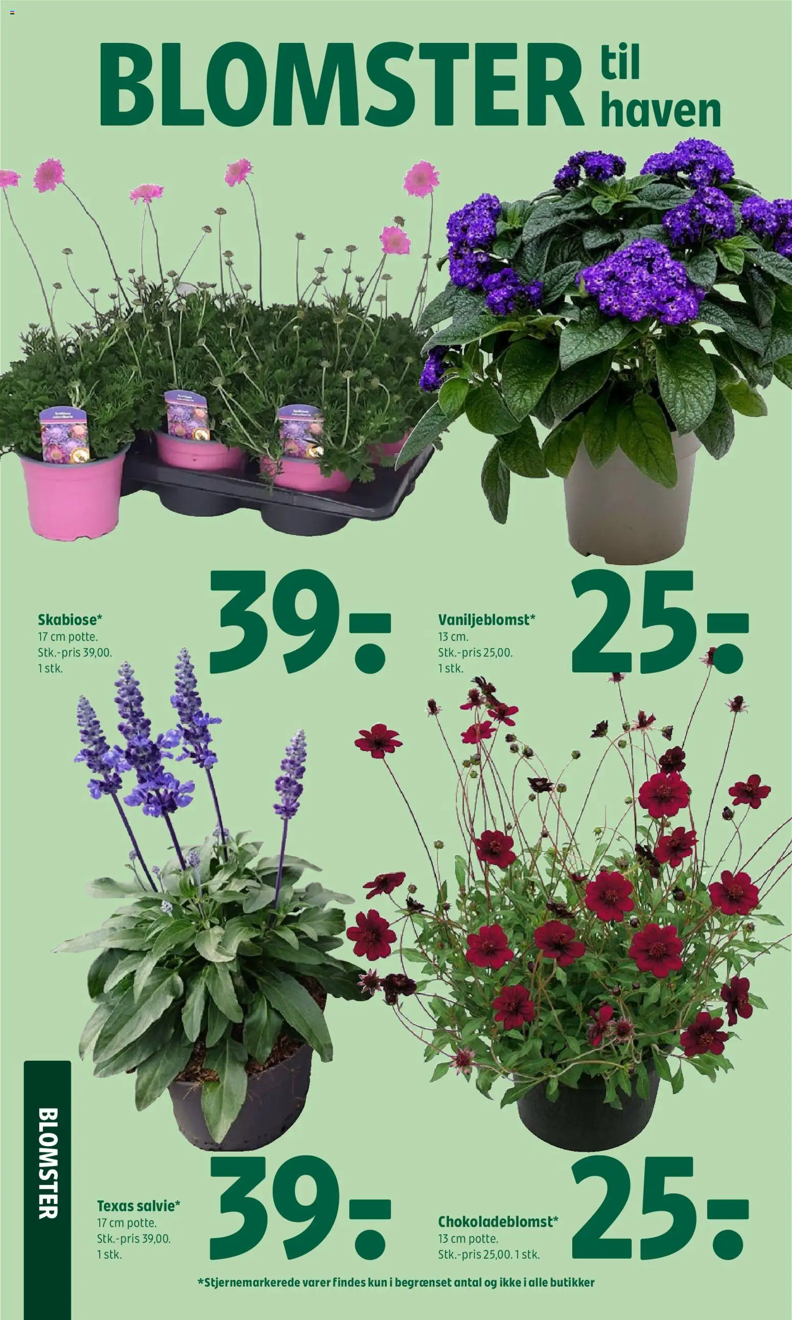 Coop 365 tilbudsavis – gyldig fra 04.06.2026 | Side: 25