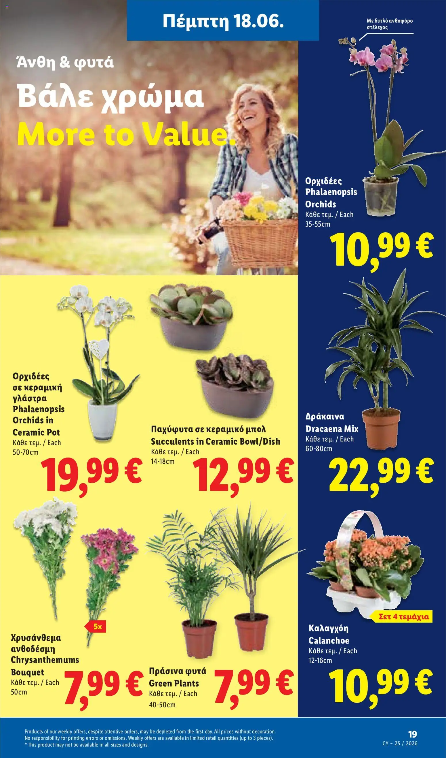 Lidl φυλλαδιο – σε ισχύ από 18.06.2026 | Σελίδα: 53