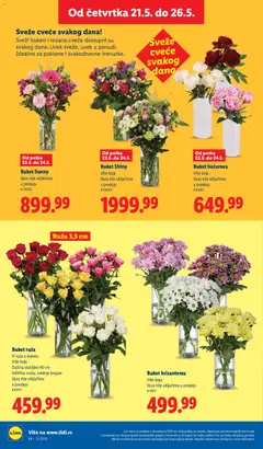 Lidl katalog - pregled Lidl kataloga - važi od 21.05.2026 | Strana: 66 | Proizvode: Vaza, Hrizantema, Cvece