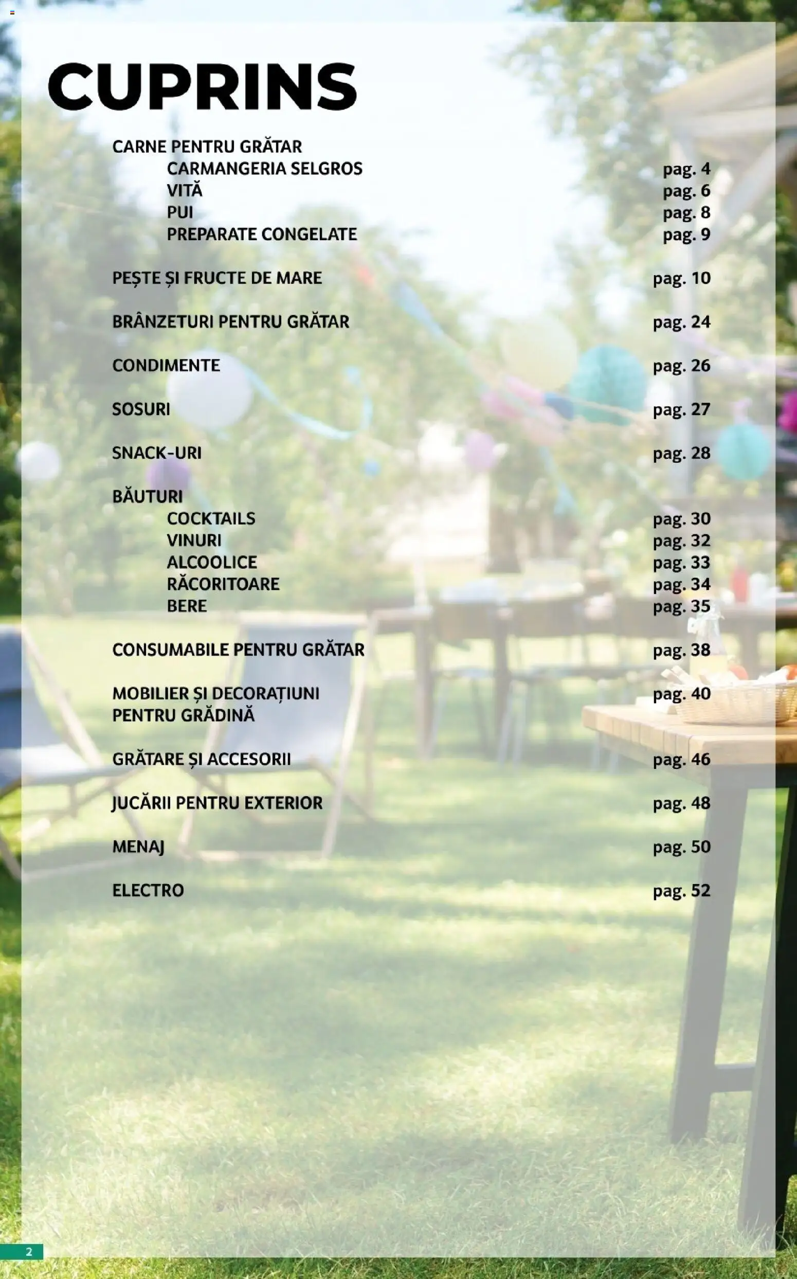 Noul catalog Selgros – valabil de la 17.04.2026 | Pagină: 2 | Produse: Grătar, Bere, Pește, Fructe