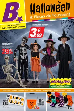 Bazarland - Prévisualisation de BazarLand - Halloween & Fleurs de Toussaint 4p valide à partir de 21/10/2026
