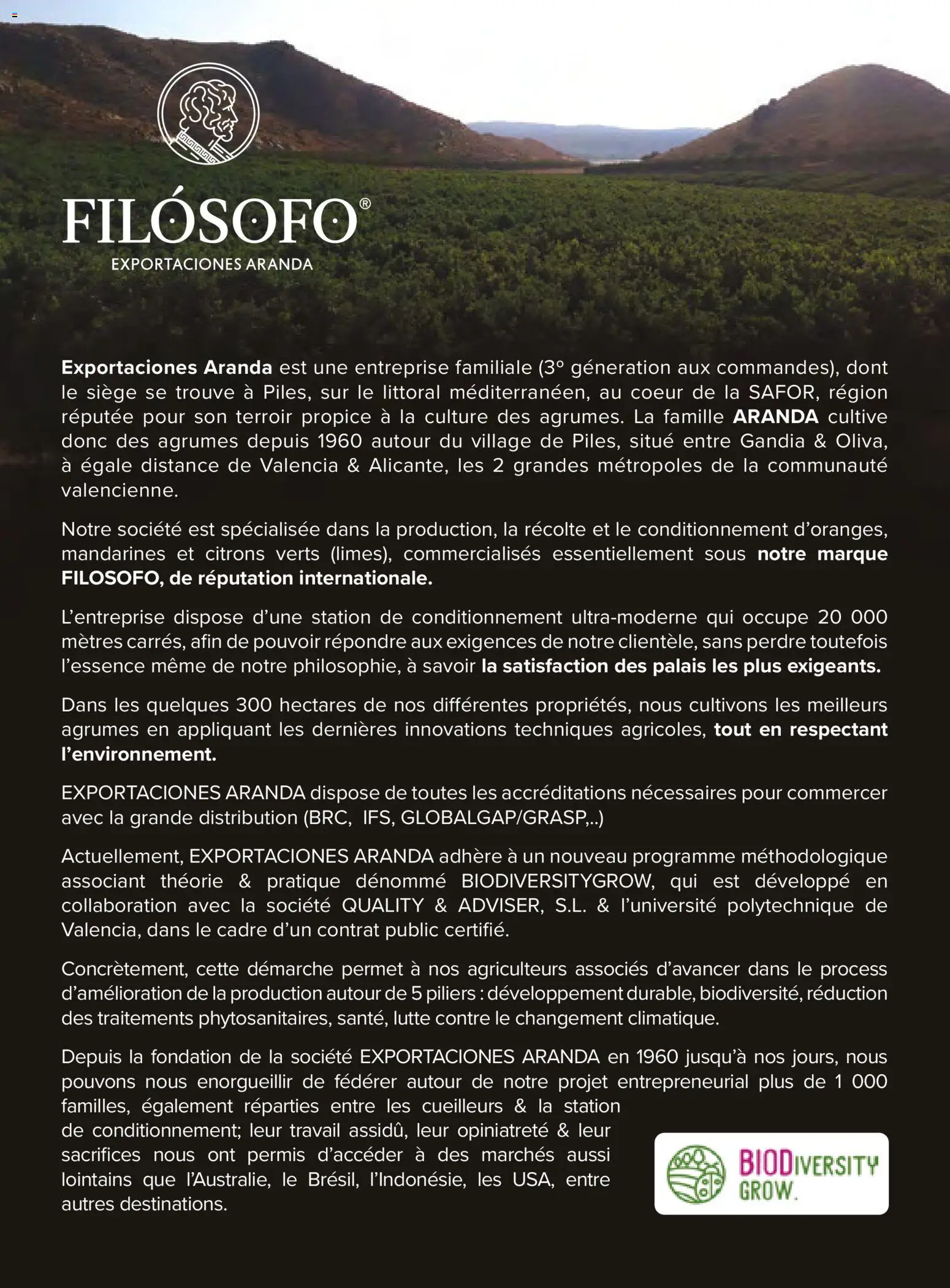 {H1} | Page: 62 | Produits: Agrumes, Mandarines, Cadre, Citrons