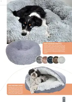 zookauf Themenkatalog Hund ab 18.05.2026 gültig | Seite: 19 | Produkte: Bett, Kissen
