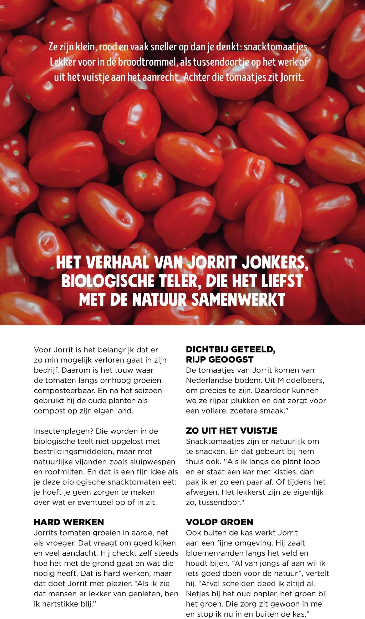 {H1} | Pagina: 20 | Producten: Tomaten