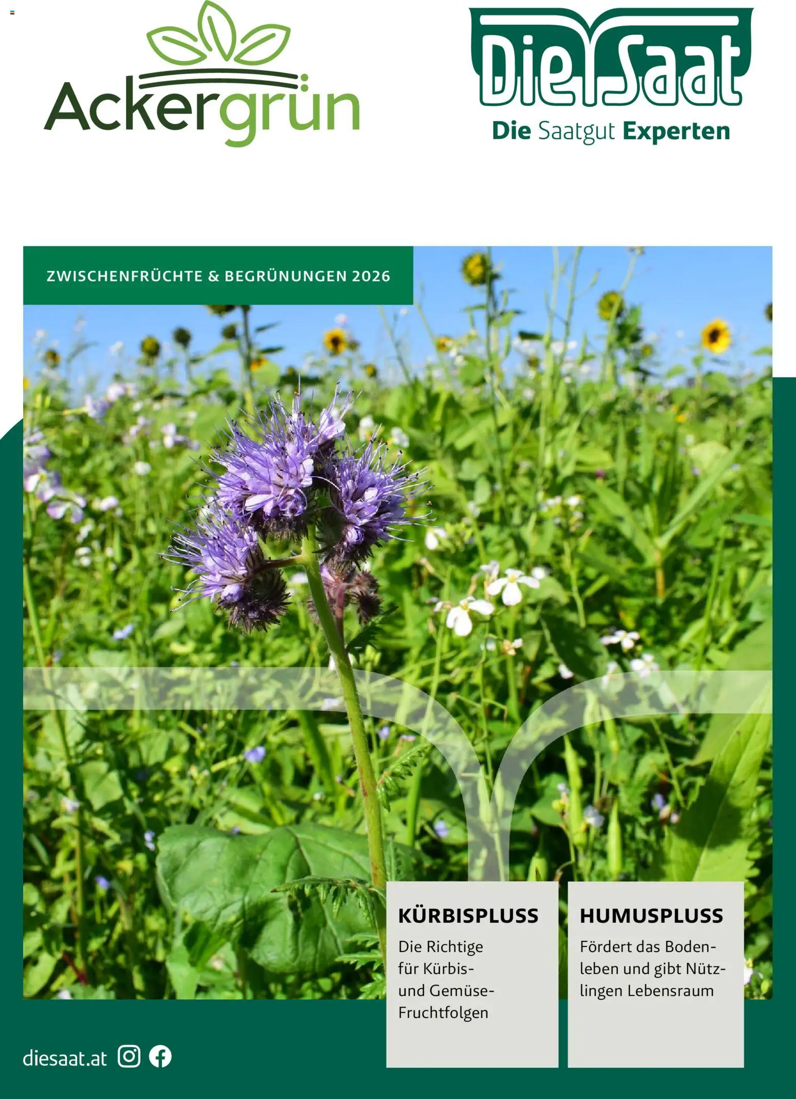 Lagerhaus Zwischenfrüchte und Begrünungen 2026 (26.03.2026) cover