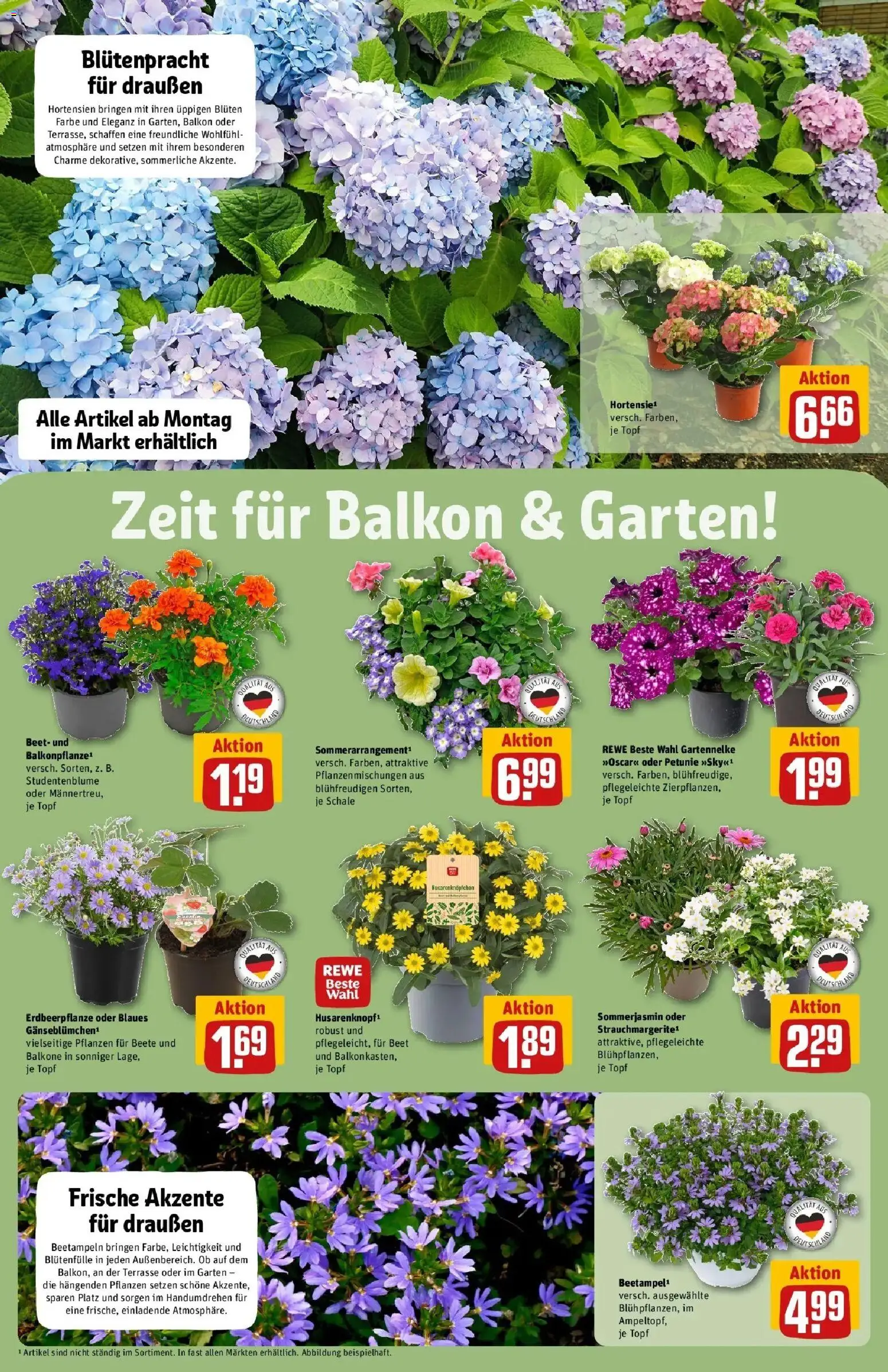 Rewe Prospekt Heidenheim	 – gültig ab 10.05.2026 | Seite: 6