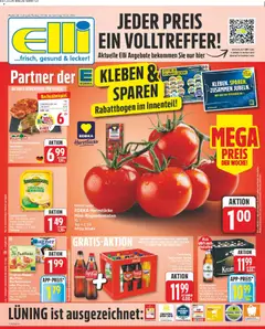 Elli Markt Prospekt ab 08.06.2026 gültig