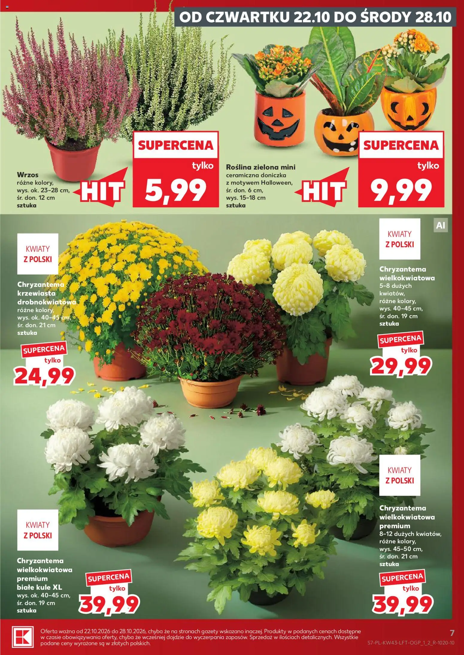 Kaufland Polsko leták od 22.10.2026 | Strana: 7