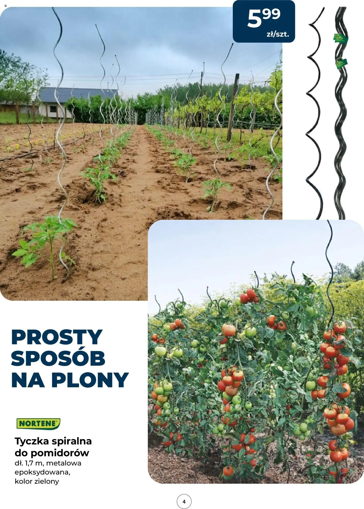 Mrówka gazetka od 14.05.2026 | Strona: 4